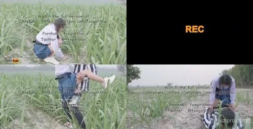 网红泰妹foxgirltha第24部分