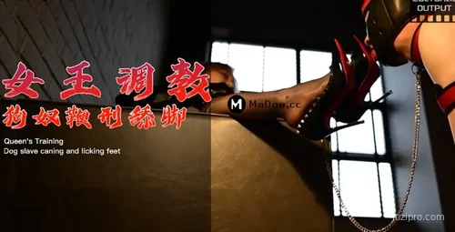 女王调教体验分享
