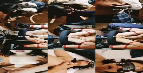 推特账号『dom』：博士生导师的人生探索-截图2