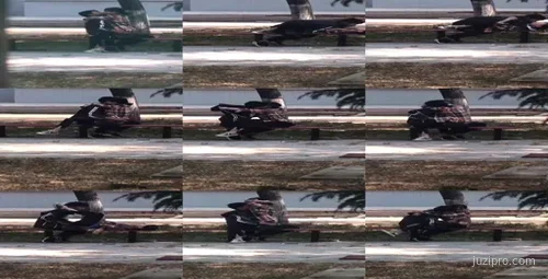 山东财经大学曝出高中生校内行为不当事件-截图2