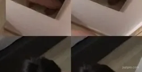 新加坡大事件揭露