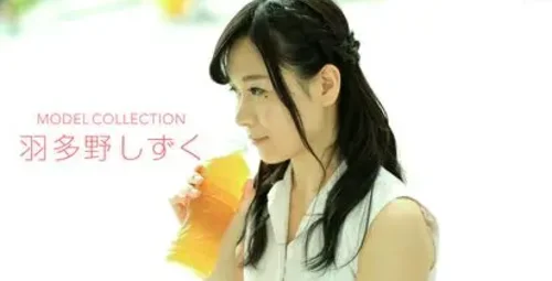 模特系列 波多野雫介绍
