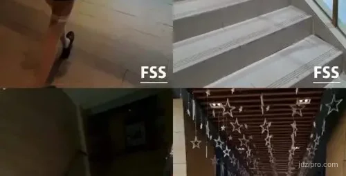 冯珊珊的精彩野外活动记录