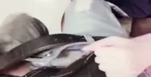 极品萝莉兔兔高清互动720P版