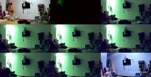 年轻夫妻亲密互动拥抱欢愉时光-截图2