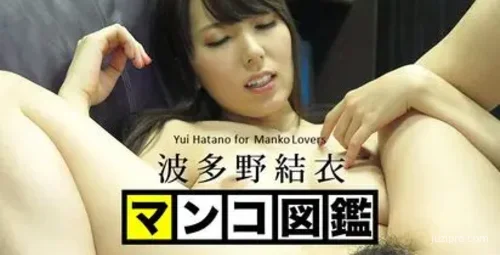 波多野结衣作品图鉴