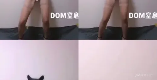 推特用户关系：追随与关注的心理探讨