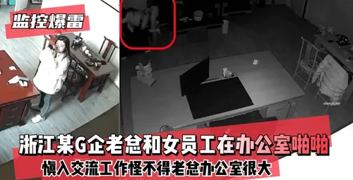 浙江某公司领导与女员工办公室交流工作