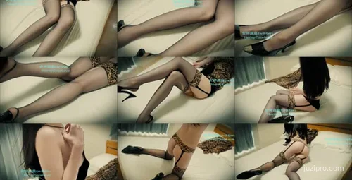 着豹纹吊袜带与尼龙丝袜的女性-截图2